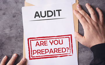 AI audit